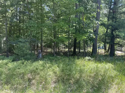 lot12 E Higgins Lake Drive 004-230-012-0000 Roscommon Mi 48653 Dr #004-230-012-0000, Roscommon, MI 48653