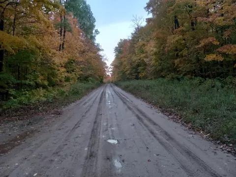 4661 Webster Rd, Elmira, MI 49730