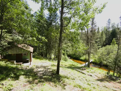 21035 Porcupine Rd, Hillman, MI 49746