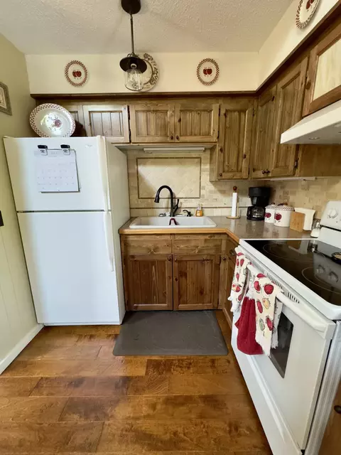 208 Berry Patch Cir, Grayling, MI 49738 photo 21