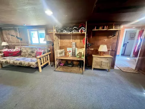 3667 Floody Drive Mio Mi 48647 Dr, Mio, MI 48647 photo 40