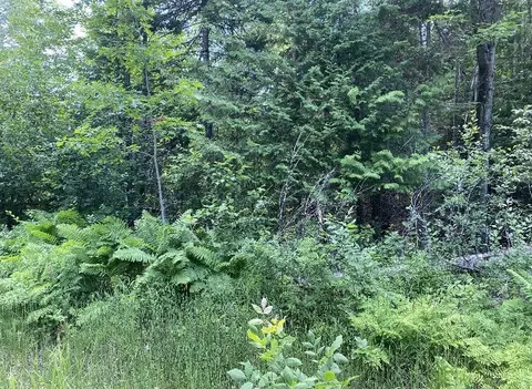 135 Howard Rd, Alpena, MI 49707