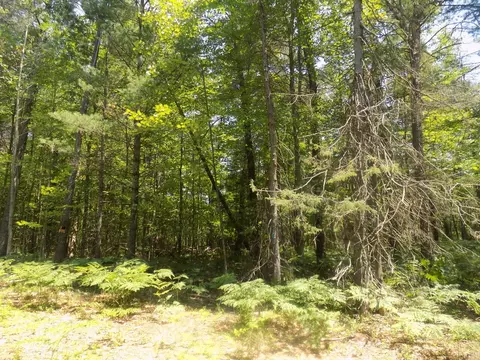 Old Pine Trail, Prudenville, MI 48651