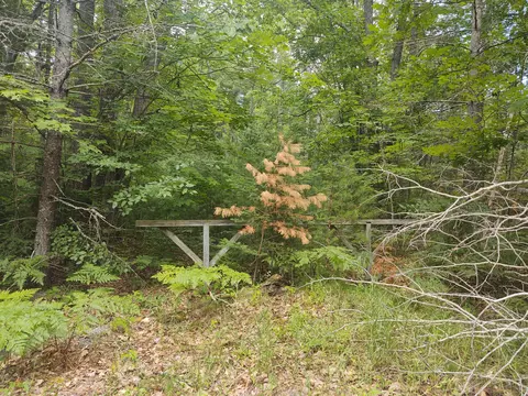17910 Ottawa Court Atlanta Mi 49709 Ct, Atlanta, MI 49709