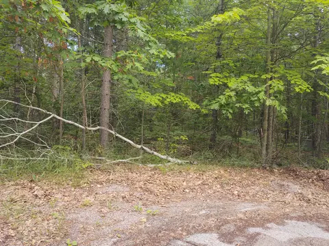 Ottawa Court, Atlanta, MI 49709