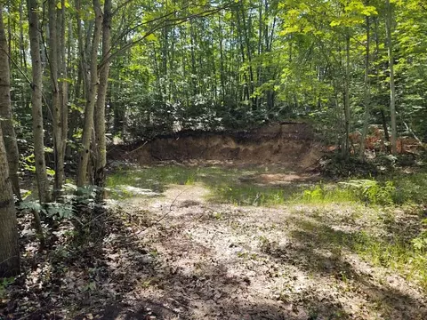 Lake May Road, Hawks, MI 49743