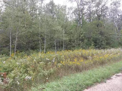 Shadyshore Parkway, Elmira, MI 49730