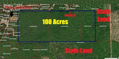 100 Reserve Road #100 ACRES, Prudenville, MI 48651