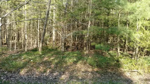 Pollard Drive, Alpena, MI 49707