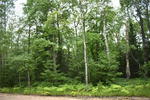 14550 Shoreline Dr, Wolverine, MI 49799 photo 3