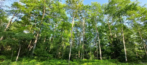 14550 Shoreline Dr, Wolverine, MI 49799