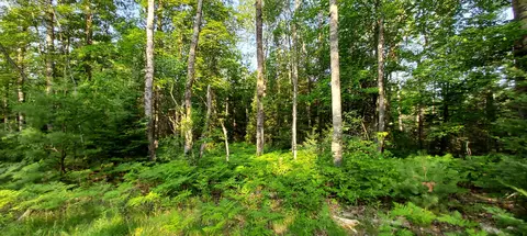 14550 Shoreline Dr, Wolverine, MI 49799 photo 2