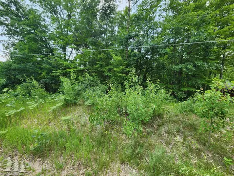 lot144 Big Buck Dr, Lewiston, MI 49756