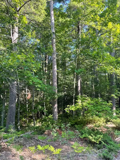 Belfair Drive, Presque Isle, MI 49777