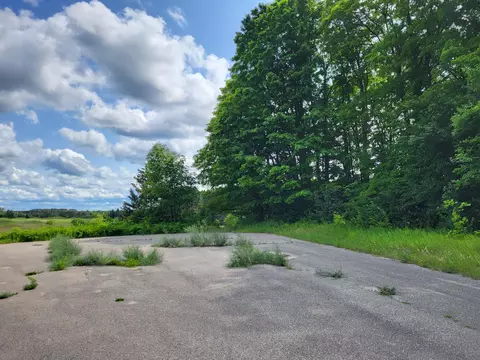 Cubs Way, Vanderbilt, MI 49795 photo 3
