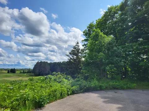 Cubs Way, Vanderbilt, MI 49795 photo 4