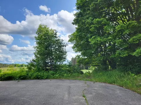 Cubs Way, Vanderbilt, MI 49795