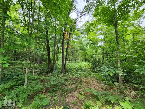 Parcels 2 & 3 Grandview Road, Lewiston, MI 49756