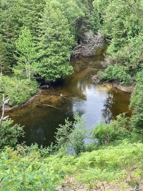 N Down River Lane, Ocqueoc, MI 49759 photo 7