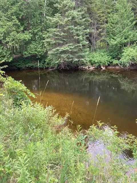 N Down River Lane, Ocqueoc, MI 49759 photo 5