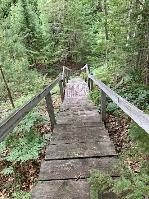 N Down River Lane, Ocqueoc, MI 49759 photo 3