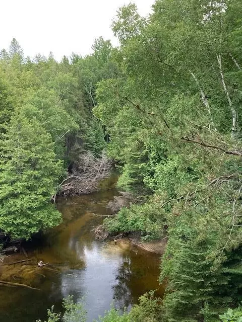 N Down River Lane, Ocqueoc, MI 49759