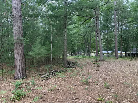 Candlewood Drive, MI