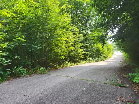 27 Cubs Way Vanderbilt Mi 49795, Vanderbilt, MI 49795 photo 3