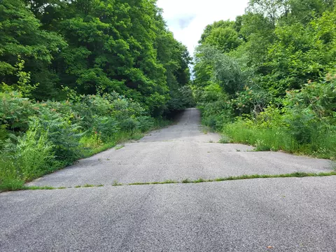 27 Cubs Way Vanderbilt Mi 49795, Vanderbilt, MI 49795 photo 2