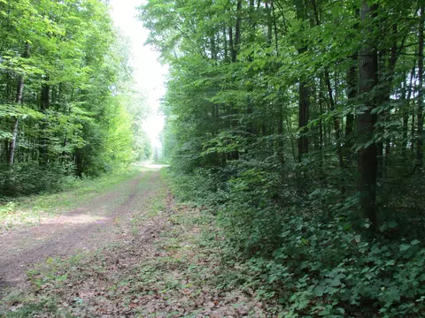 Adams Drive, Frederic, MI 49733 photo 3