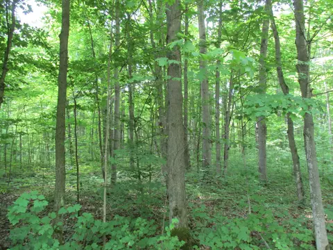 Adams Drive, Frederic, MI 49733