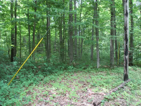 Adams Drive, Frederic, MI 49733 photo 5