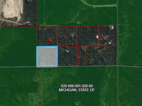 Adams Drive, Frederic, MI 49733 photo 9