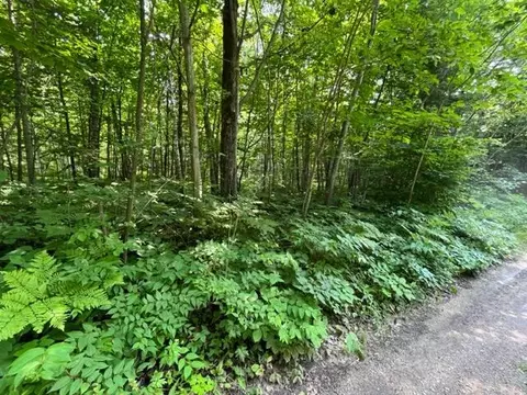 lot218 Ute Lane Millersburg Mi 49759 Ln, Millersburg, MI 49759