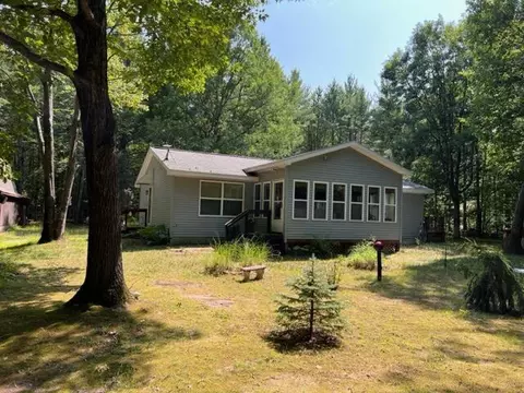 6703 Goose Lake Rd, Indian River, MI 49749
