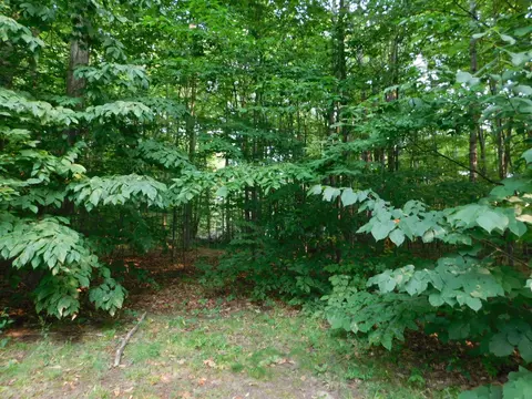 5804 Donnybrook, Frederic, MI 49733 photo 37