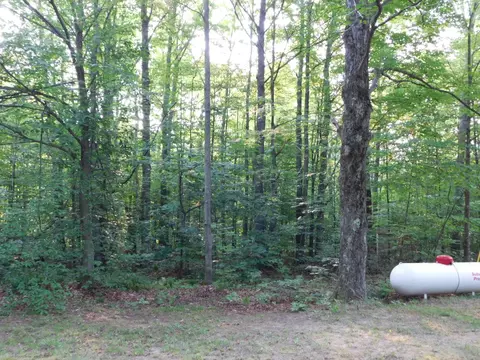 5804 Donnybrook, Frederic, MI 49733 photo 35
