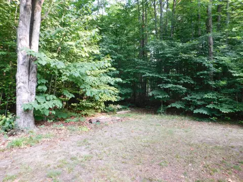5804 Donnybrook, Frederic, MI 49733 photo 40