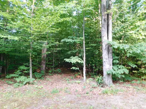 5804 Donnybrook, Frederic, MI 49733 photo 38