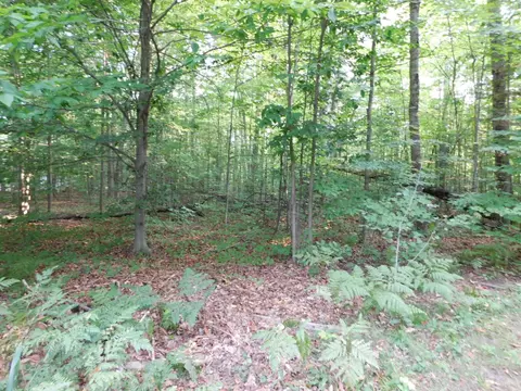 5804 Donnybrook, Frederic, MI 49733 photo 36
