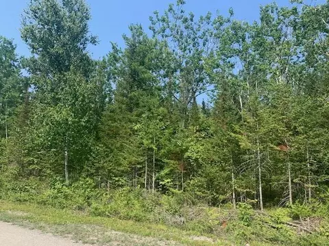 Wilderness Circle, Presque Isle, MI 49777