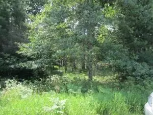 w airport road, Saint Helen, MI 48656