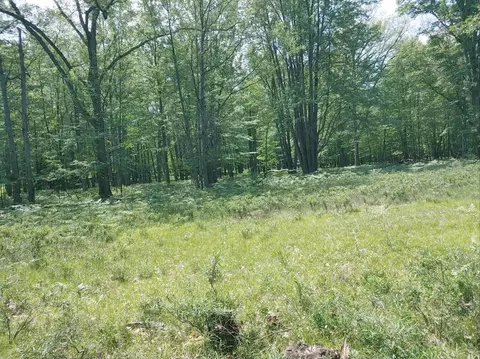 N Cut Road, Roscommon, MI 48653 photo 6