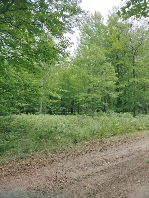 N Cut Road, Roscommon, MI 48653