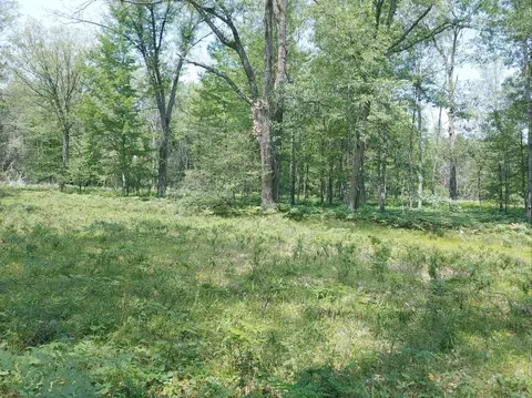 N Cut Road, Roscommon, MI 48653 photo 7