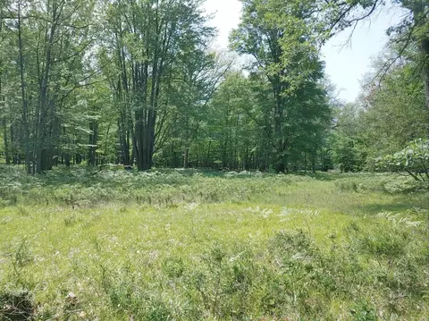 N Cut Road, Roscommon, MI 48653 photo 4
