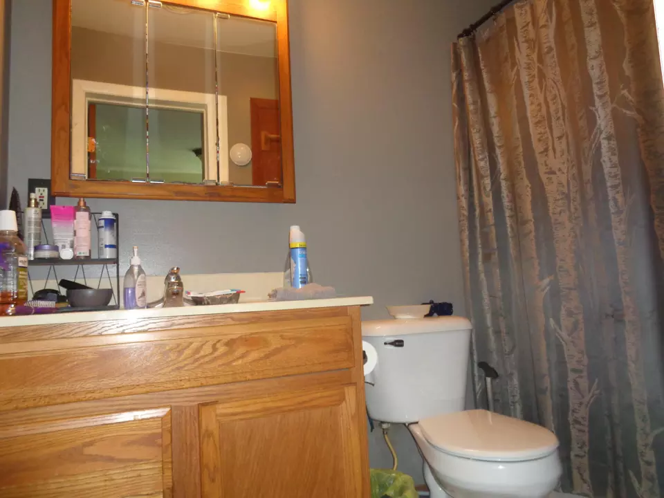  220 Oak Street Prudenville Mi 48651 St, Prudenville, MI 48651 photo 7