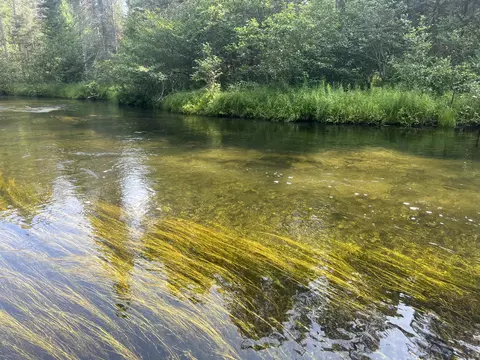 East Drive, Luzerne, MI 48636