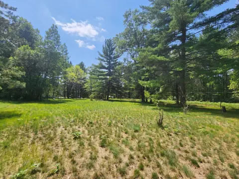 237 Holtz Road Mio Mi 48647 Rd, Mio, MI 48647 photo 13