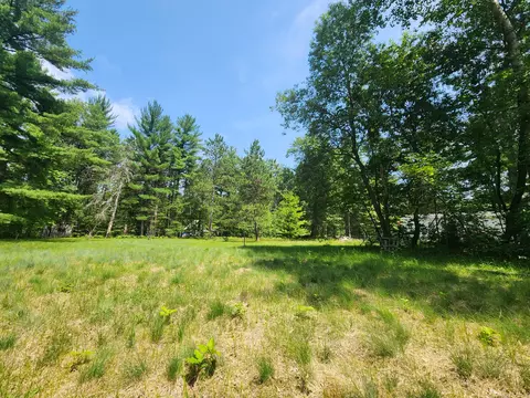 237 Holtz Road Mio Mi 48647 Rd, Mio, MI 48647 photo 12